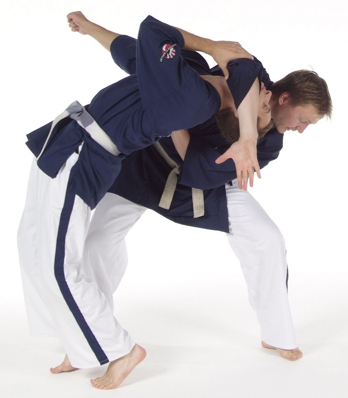 Yoseikan combat trad