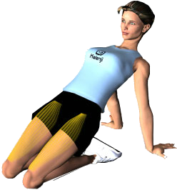 assouplissement droit ant